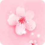红楼直播最新版