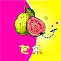 水果派轻量版app下载安装_logo