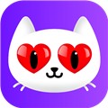 jizz视频播放器
