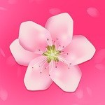 硬汉视频练就神之一手下载大全