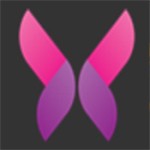 黄金网站app播放器免费下载