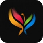992tv在线观看国产精品