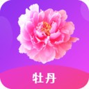 姑娘高清在线观看视频播放下载