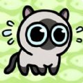 丛林冒险猫下载-丛林冒险猫手机版v1.0